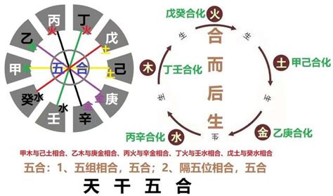 天干五合原理|八字中天干相合原理及意义